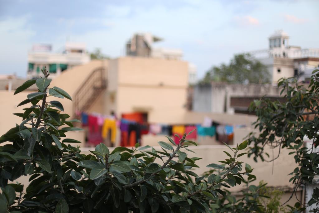 Lassi Guest House Udaipur Dış mekan fotoğraf