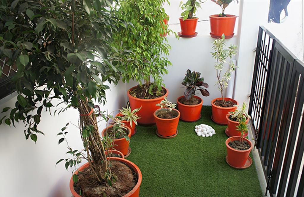 Lassi Guest House Udaipur Dış mekan fotoğraf